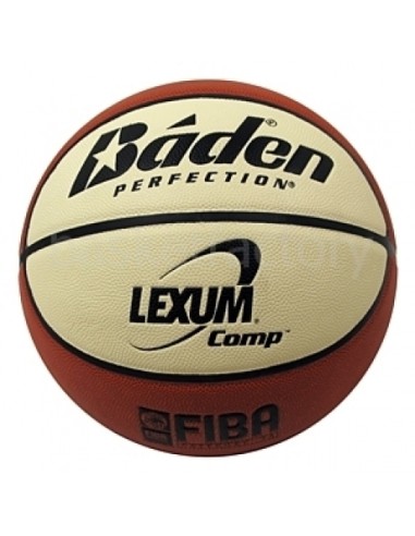 Balón baloncesto Wilson Evolution - Talla 6
