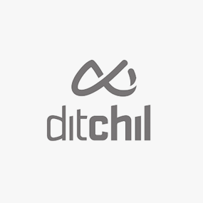 Ditchil